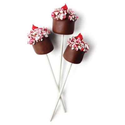 cake pops stick